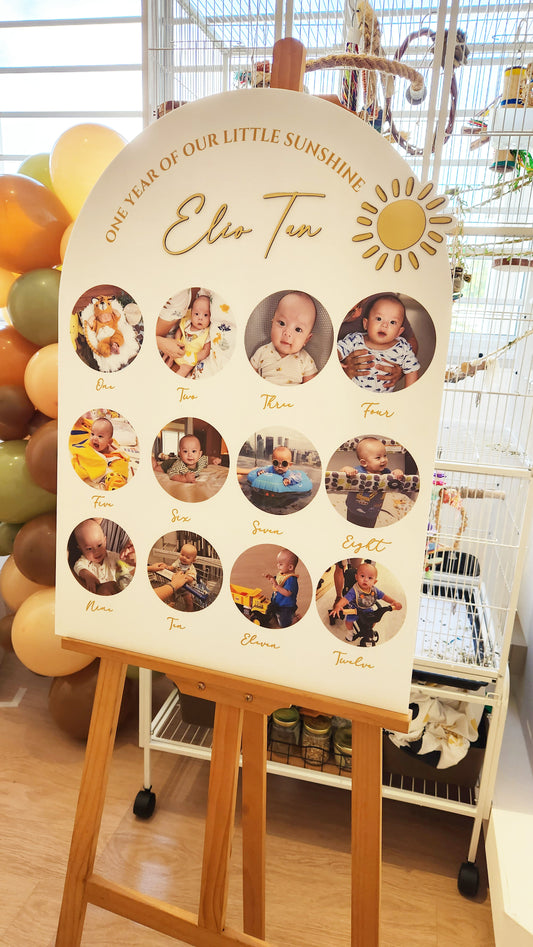 One Year Old Celebration Milestone Board