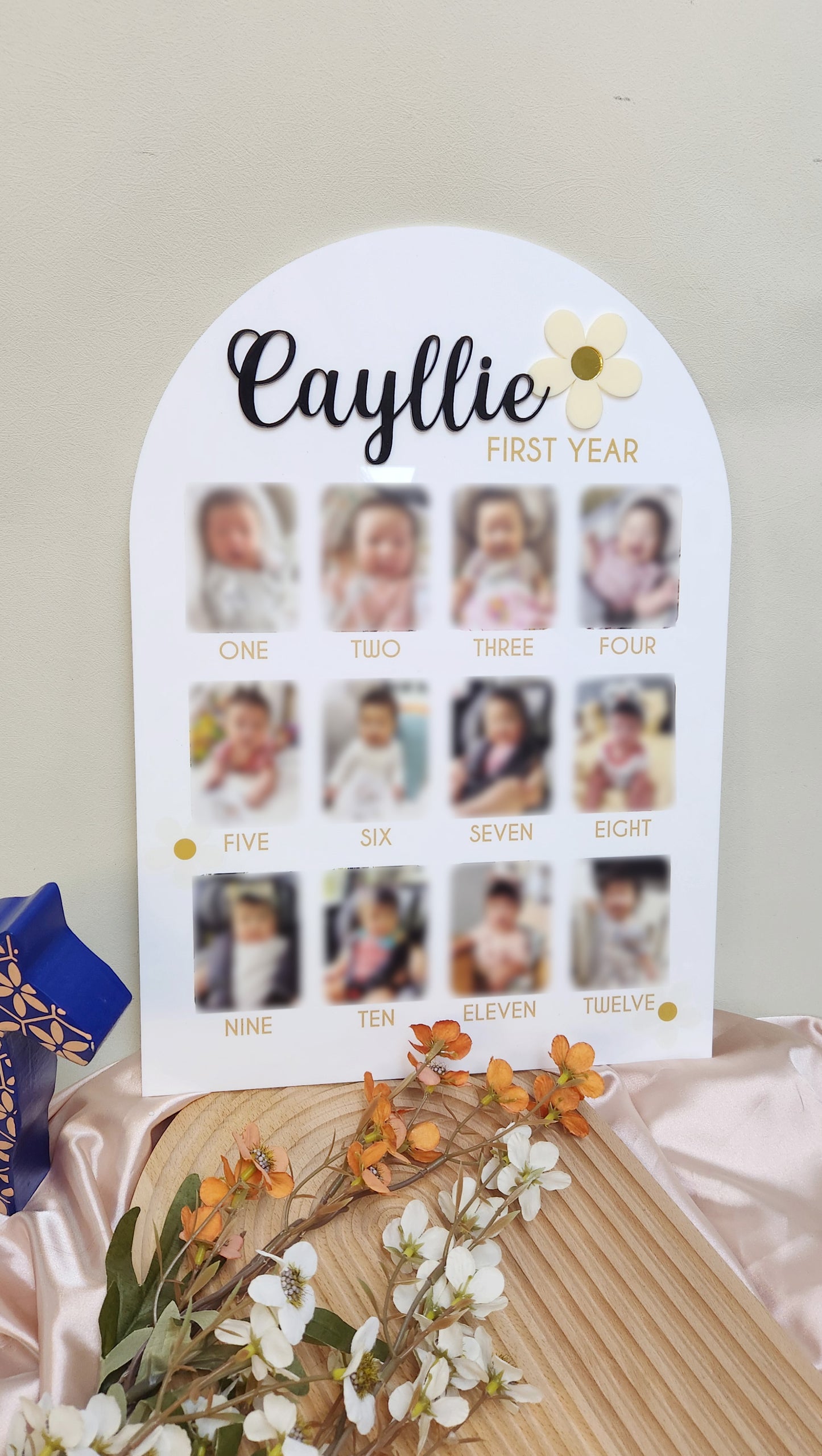 Baby First Year Photo Milestone Board
